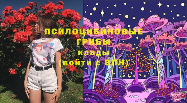 герыч Дмитров