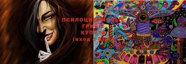 мет Дмитриев