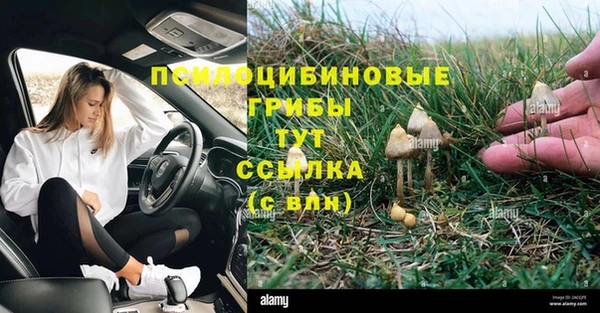 мет Дмитриев