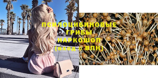мет Дмитриев
